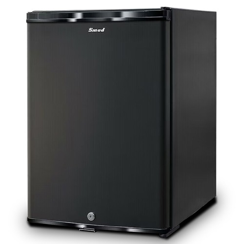 12V / 110V Portable Refrigerator Silent Truck Travel RV AC/DC Fridge ...