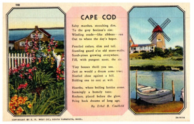 Cape Cod Von Ethel B. Caulfield Massachusetts Ansichtskarte