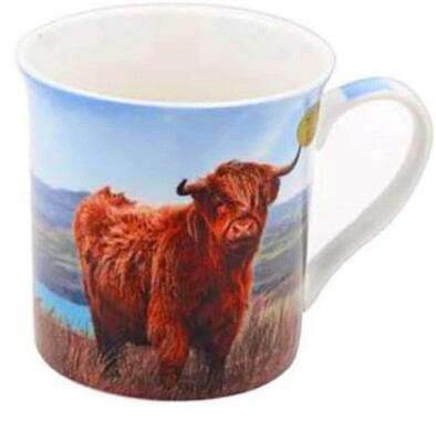 SCHOTTISCHES THEMA GESCHENK KERAMIK PORZELLAN TASSE MIT HOCHLANDKUH DARAUF LP93745