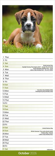 Boxer Slim 2026 Calendar | Slimline Dog Breed Gift 15% OFF MULTI ORDERS - Picture 2 of 8