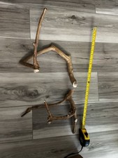 Manzanita Driftwood Branch Set for Aquarium  Reptile, Terrarium Decor 12x12x10