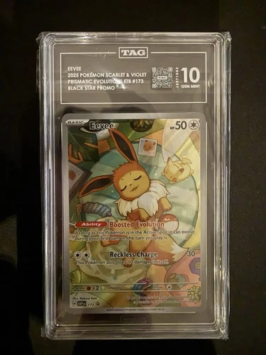 Pokémon Eevee TAG 10 173 Scarlet & Violet Promo Black Star Holo Card 50 HP