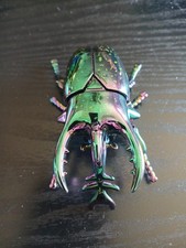 Unique Wind Up Beetle Toy For All Ages. Wind And It Walks. Your Kids Will Love