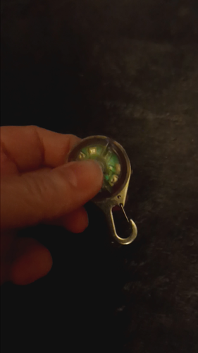 Clip On LED Coloful Lights For Safe Walking Pet Dog - Video 1 of 1