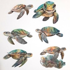 3D UPick Sea Turtles Scrapbook Card Embellishment 3617-1