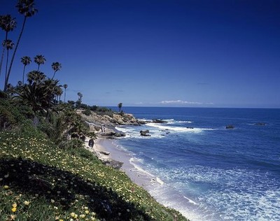 Coastline,Big Sur,Monterey,California,CA,Palm Trees,Ocean,Carol Highsmith