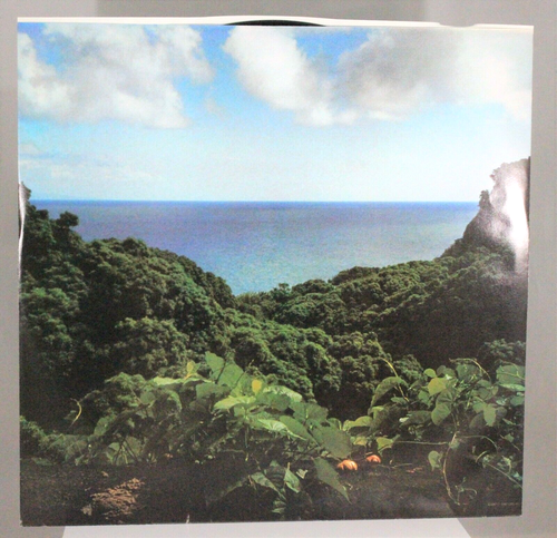 Willie Nelson Island In The Sea 1987 Columbia Vinyl 33 RPM Stereo VG - Picture 2 of 5