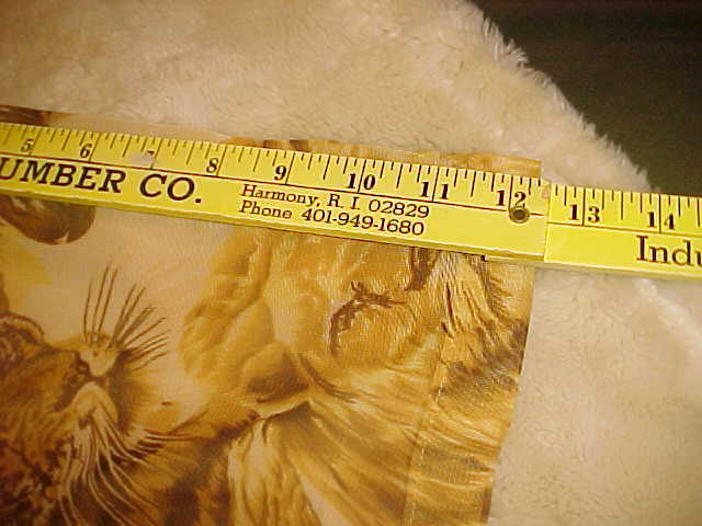 Picture 6 of 12