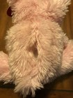 Foto 10 di 10