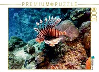 Calvendo Puzzle Rotfeuerfisch, Koraffi, ÄGypten 1000 Teile Puzzle Quer | 1000 Te