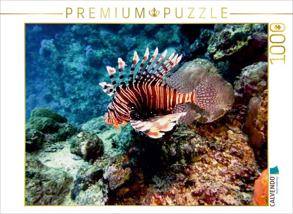 Calvendo Puzzle Rotfeuerfisch, Koraffi, ÄGypten 1000 Teile Puzzle Quer | 1000 Te-image