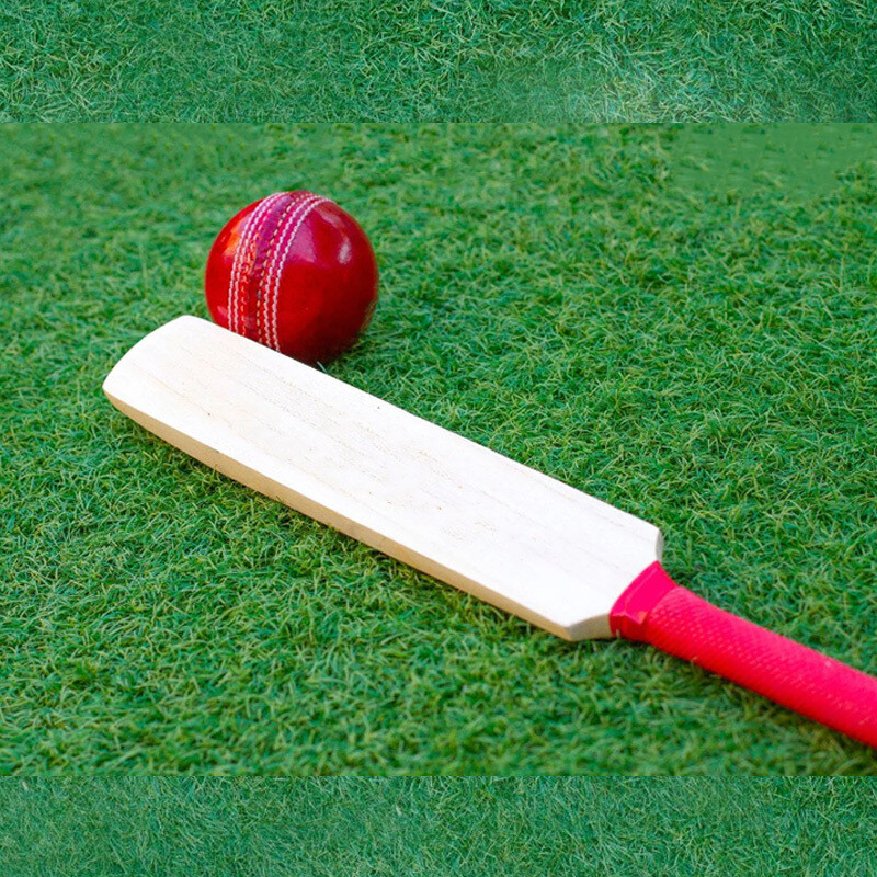 MINI CRICKET BAT & BALL Signature Wooden Natural Grain With 48mm