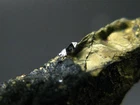 Sperrylite Crystal On Matrix From Russia - 0.7" - 1mm Crystal