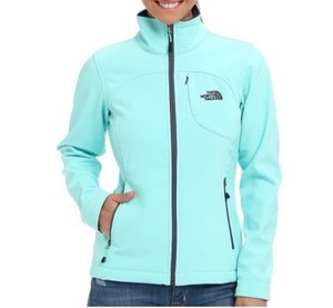 north face bionic jacket womens