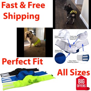 reusable dog belly bands