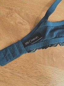 Lise Charmel &Eacute;crin Nature Embroidered Plunge Contour Bra - Teal Blue 34D