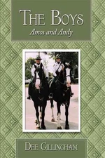 Boys : Amos and Andy, Paperback by Gillingham, Dee, Like New Used, Free shipp...