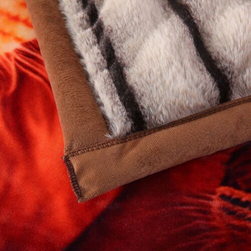 Coperta in pelliccia sintetica 3 strati visone coreano coperte letto pesante spesso design animale king - Foto 14 di 71