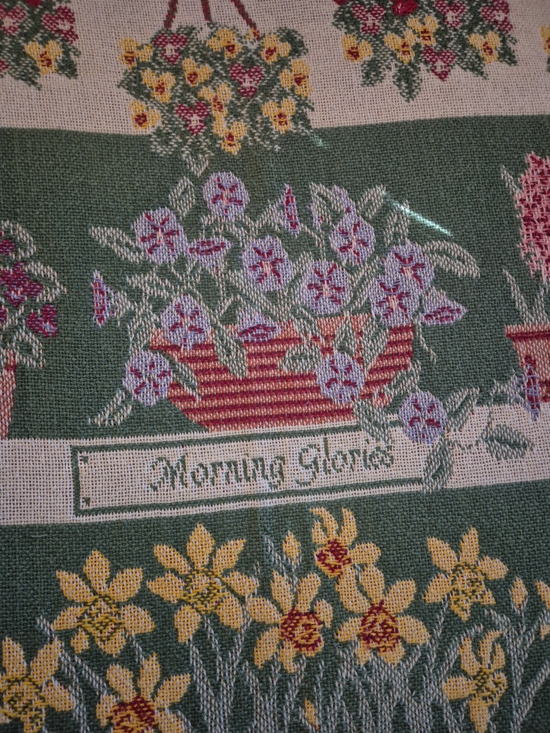 Picture 19 of 24