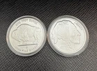 Two (2) US Silver Buffalo 1 Troy Ounce 9999 Fine Silver Round Coins With Capsule