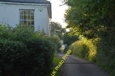 Foto A2 Mid Devon: Country Lane Upton Hellions Eine kleine Landstraße um 2016