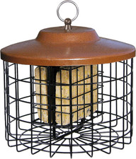 Bird Feeder- Double Cage