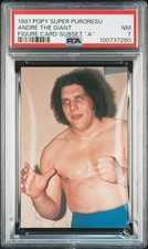 1981 POPY SUPER PURORESU FIGURES CARDS SUBSET 