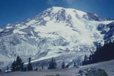 The Nisqually Glacier on Mount Rainier in Mount Rainier National P- Old Photo