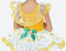 Revolution Dance A Daisy A Day Bee Costume embroidery lace velvet Size LC