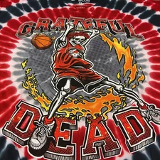 Liquid Blue Grateful Dead Style Chicago Dunker Tie Dye Graphic T-Shirt Men’s XL