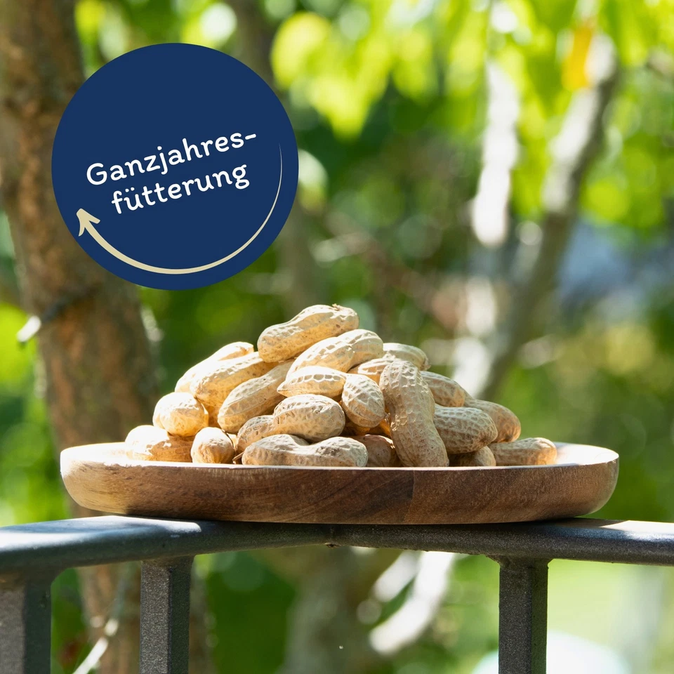 10 kg Erdnusskerne in Schoten Erdnüsse mit Schale Vögel Wildvögel Lyra Pet® - Bild 3 von 4