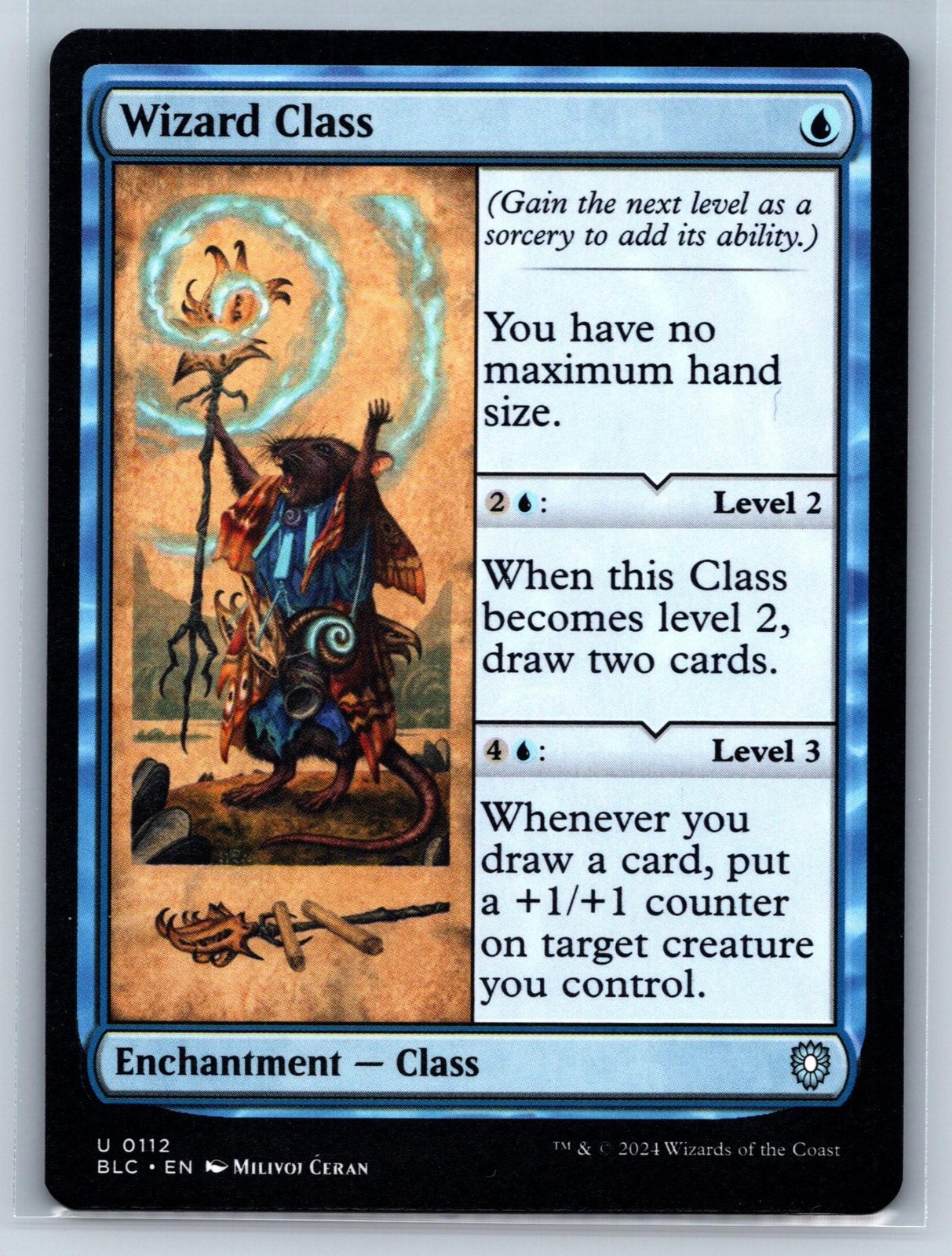 WIZARD CLASS 112 UNCOMMON COMMANDER: BLOOMBURROW MAGIC: THE GATHERING NM
