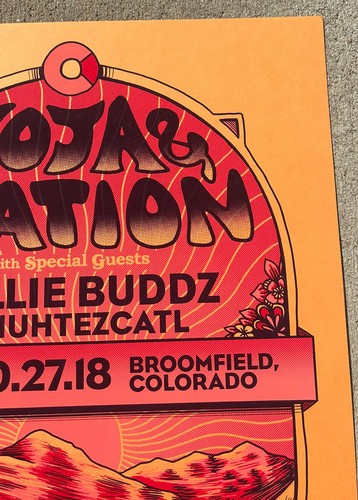 SOJA / IRATION 2018 Broomfield, Colorado 18”x24” Screen Print Concert Poster - Picture 5 of 6