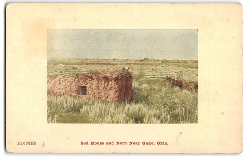 Sod House, Barn, Gage, Oklahoma Farming Ellis County 1909 Shattuck Rare Postcard - Picture 1 of 2