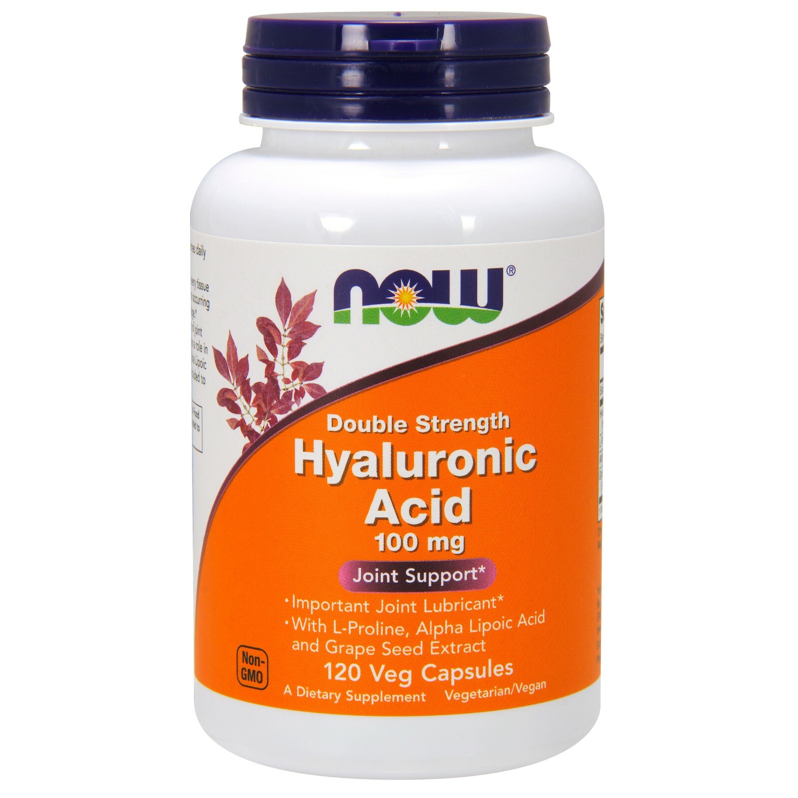 NOW Foods Гиалуроновая кислота, 100 мг, 120 растительных капсул