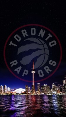 TORONTO RAPTORS cards- Pick Your Favs - FREE SHIPPING & Daily Updates