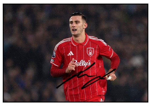 12373. Lorenzo Lucca Signed Pictures (A4 Prints) Forest Napoli Italy Ajax etc.