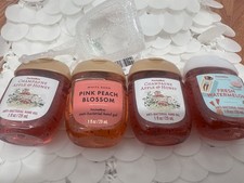 Bath Body Works PocketBac Anti-Bacterial Hand Gel 1 fl oz Lot 4 - Scents