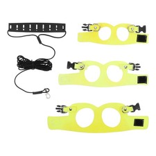 Ferret Leash and Harness Set Squirrel Animal Traction Rope Pet with Wing