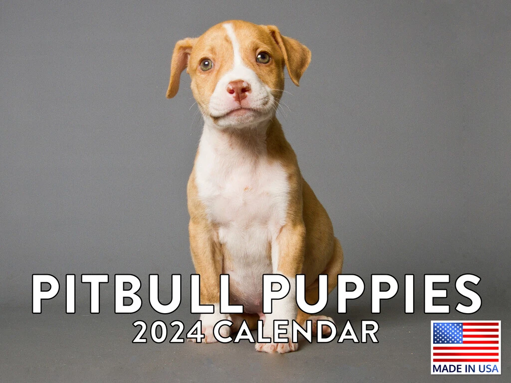 Pitbull Concert Schedule 2024 Calendar Printable Zelma Katuscha