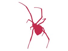 Spider Black Widow Silhouette Vinyl Decal Car Water Bottle Tumbler Sticker