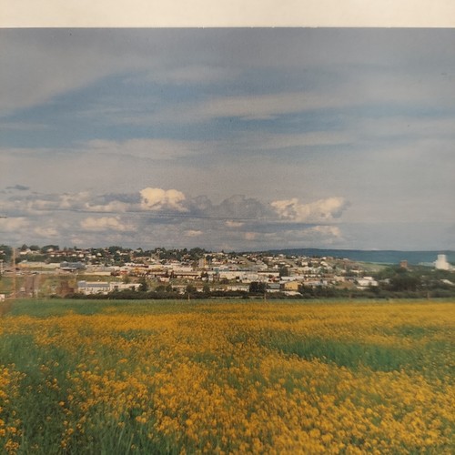Postcard Dawson Creek view of rich farmlands cereal and seed crop - Picture 3 of 7