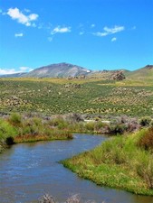 0.13 AC~WHITE PINE CO, NEVADA~GORGEOUS LAND NEAR UTAH~WILDLIFE~GOLD /SILVER~CASH