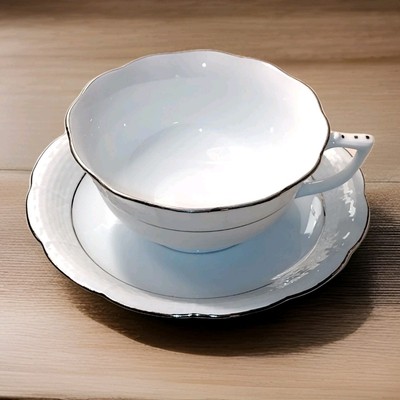 Herend Hungary White Platinum Edge Cup & Saucer Set - Vtg Tea Coffee Silver Trim