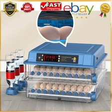 Incubatrice digitale automatica uova pollo pollame controllo temperatura