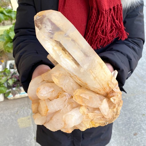 8.2LB Natural white Crystal Himalayan quartz cluster /mineralsls - Picture 3 of 9