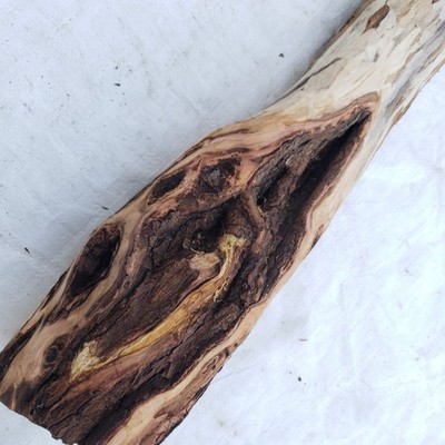 Carving Wood for Craft Project Diamond Willow Carving Blank 33'' Log Unfinished