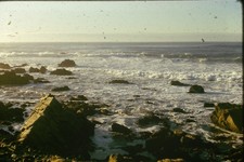 c1960's Kodachrome 35mm Slide Pacific Ocean Rocky Coastline Monterey California
