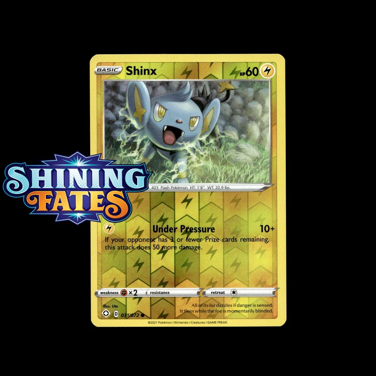 Shinx Pokmon TCG Cards for sale | eBay