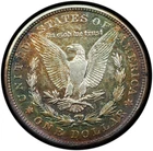 1921-S Morgan Dollar AU Rainbow Toned Reverse